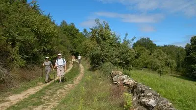 sentier de la forêt des loges_2