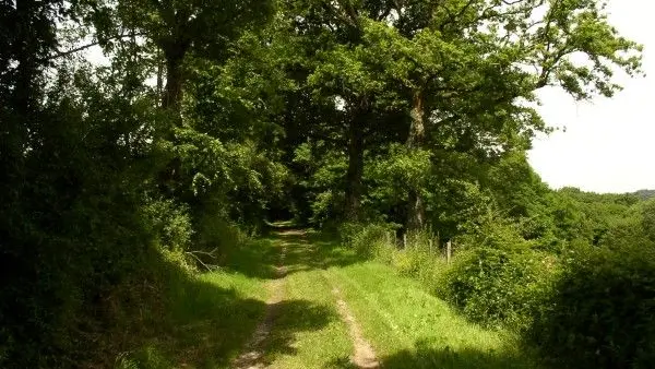 sentier de saint paul 2_2