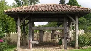 Circuit la forêt de Boubon à Cussac_1