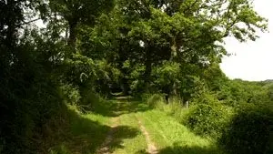Sentier de l'étang des landes_2