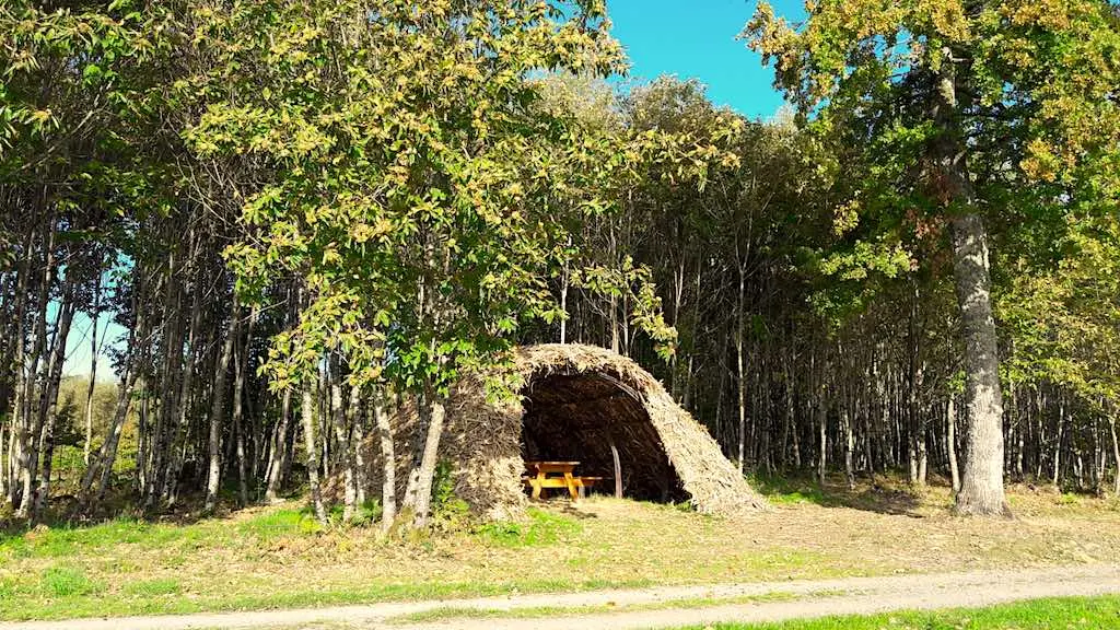 Cabane de feuillardier