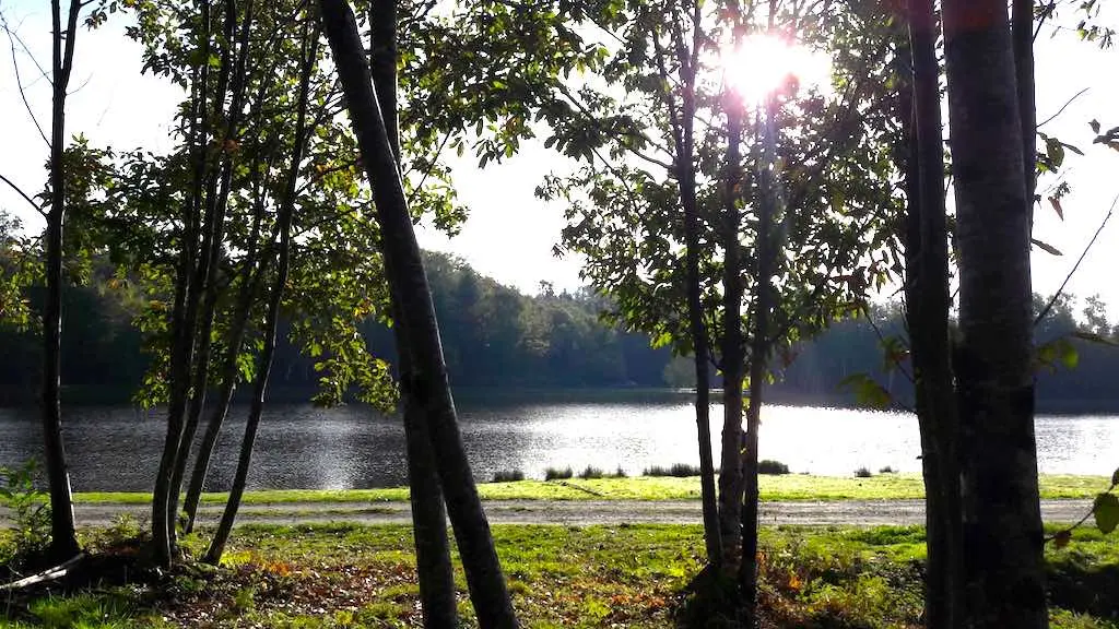 Etang de Masselièvre