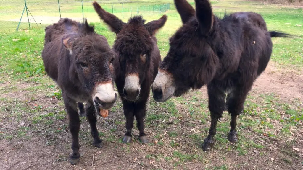 Circuit du Loup Garou_3