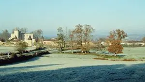 la forêt de Cromières_1