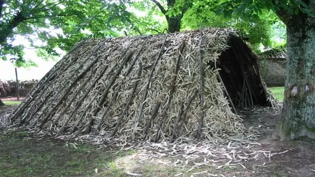 La forêt de Cromières_2