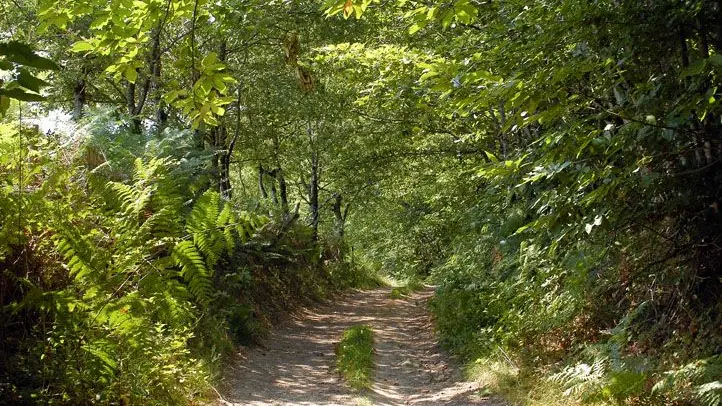 Circuit de Naboulièras_2