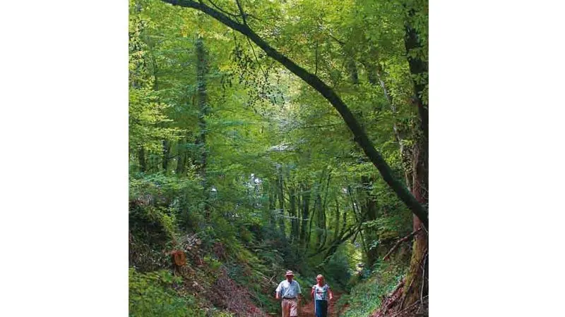 Circuit de Naboulièras_3