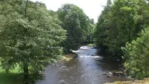 circuit les narcisses_1