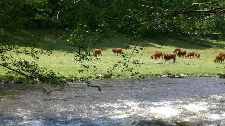 circuit les narcisses_2