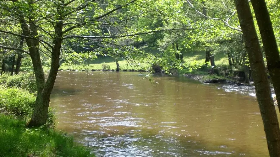 circuit les narcisses_3