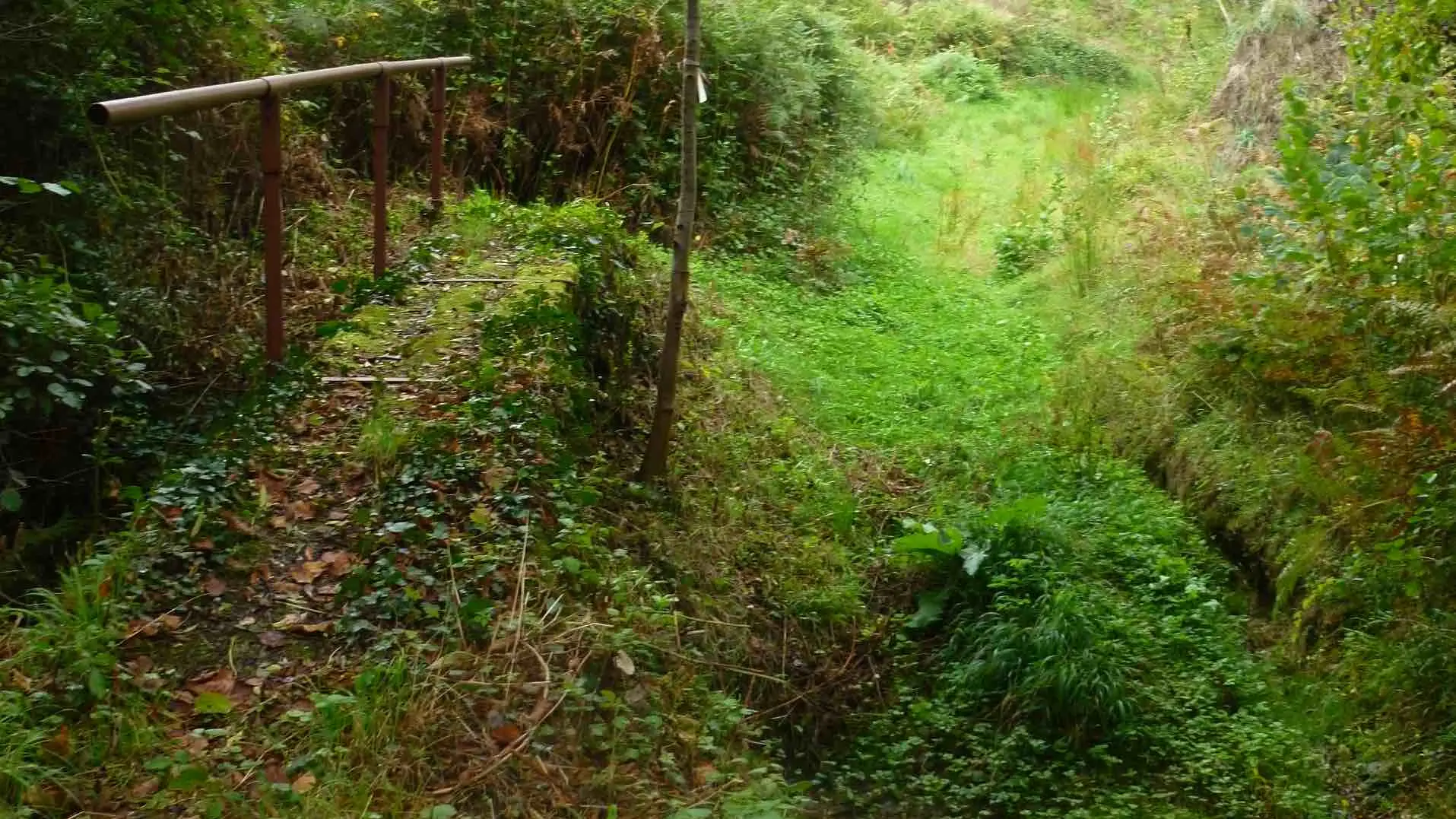 Chemin de Bonnefond_4