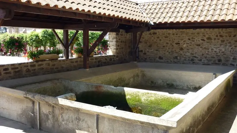 Sentier Les débutants - piste 6_2