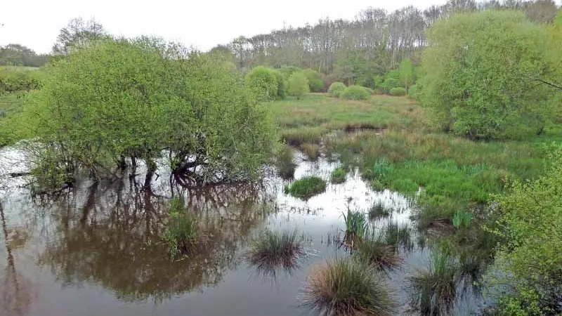 Sentier Les Oiseaux_4