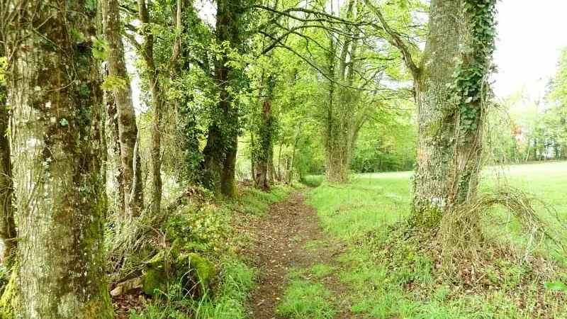 Sentier Les Oiseaux_6