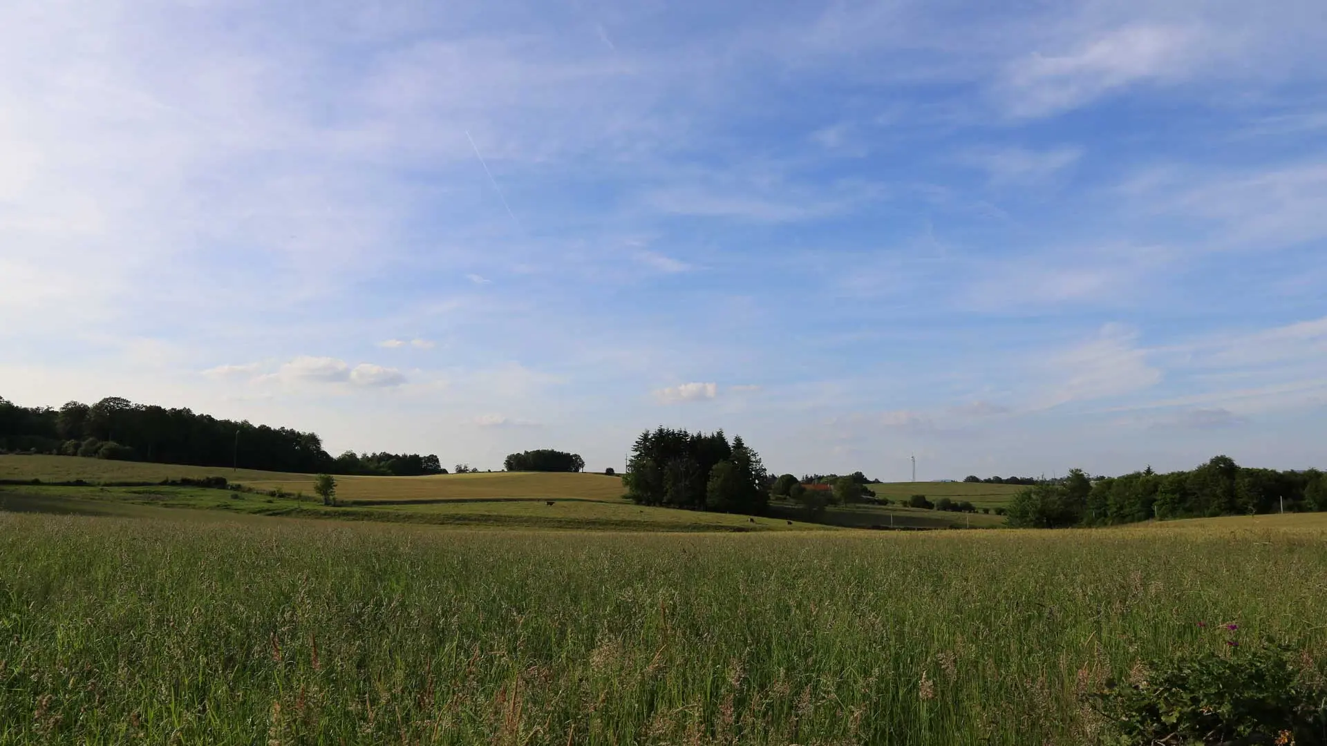 modelé-des-champs-entre-julika-et-villetelle_9