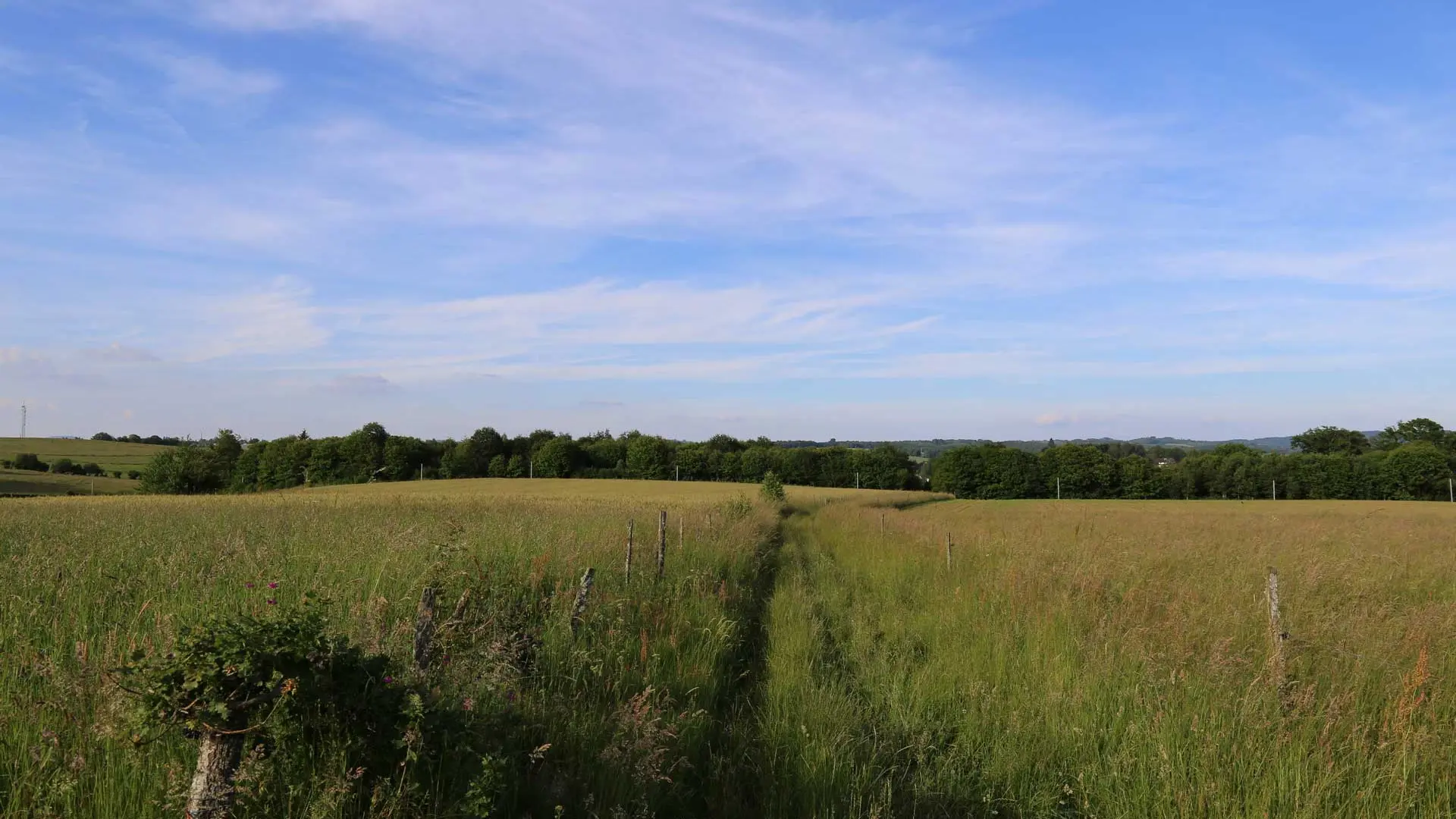 Sentier de la Villetelle_2