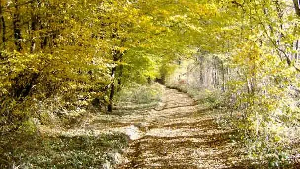 Sentier La font du loup_2