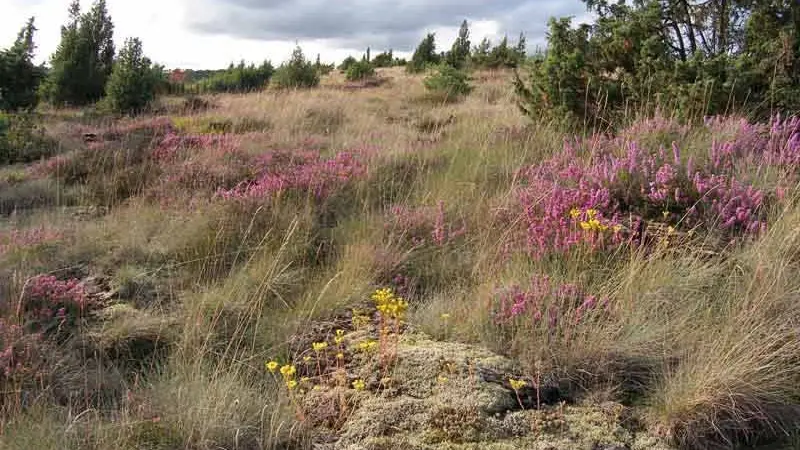 Sentier des bergers et tuiliers_1