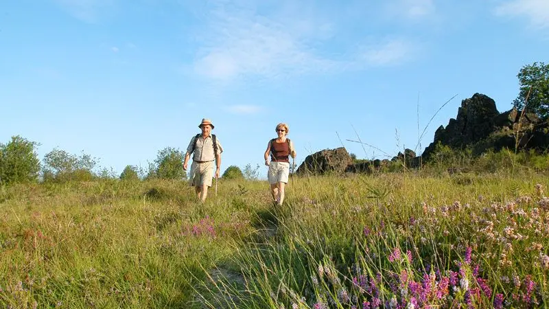 Sentier des bergers et tuiliers_3