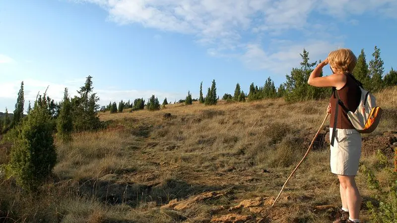 Sentier des bergers et tuiliers_5