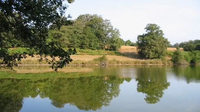 Etang de la Pouge à Saint-Auvent_4