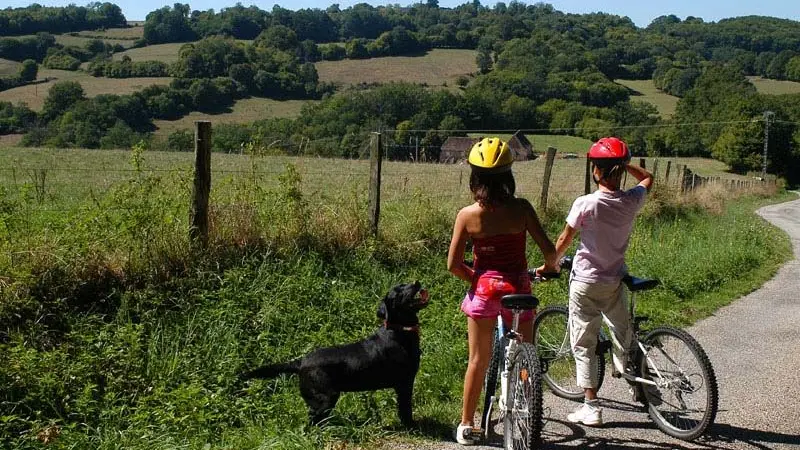 Randonnée des vieux chênes_1