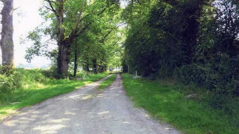 Randonnée des vieux chênes_3