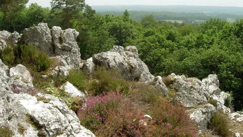 Circuit de la lande de Frochet_1