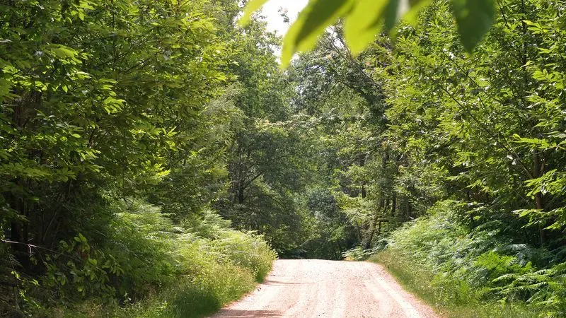 Sentier Le Bois du Curé et des mille Diables_7