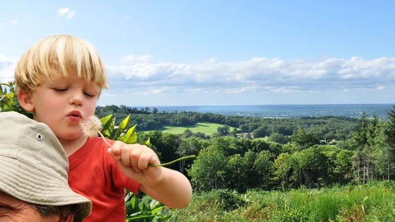 Chemin des Hêtres_1