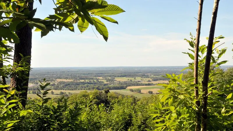 Chemin des Hêtres_2