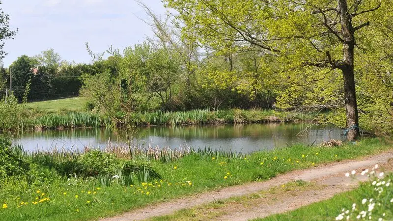 Chemin de Soumagnas_4