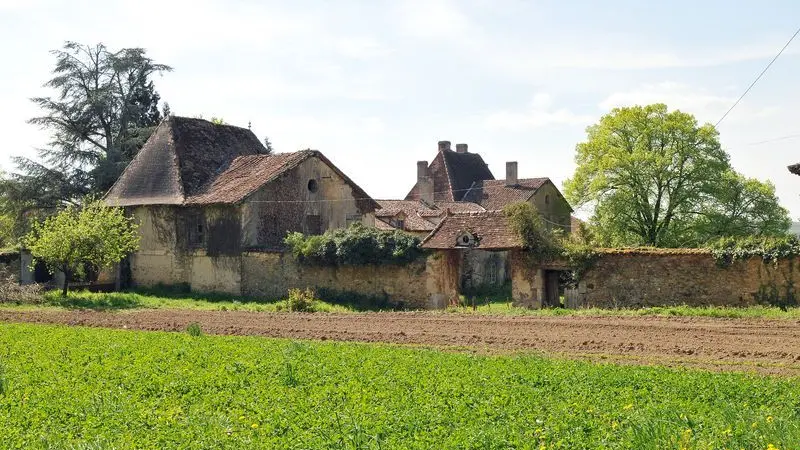 Chemin de Soumagnas_5