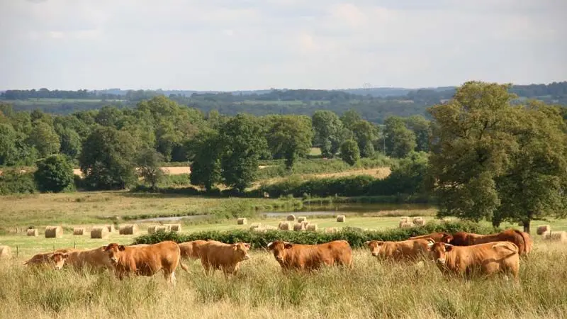 Chemin de la Margoulette_1