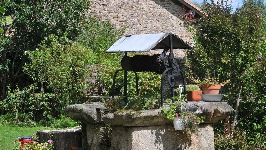 Les trois forêts : les sentiers de Burgou_1