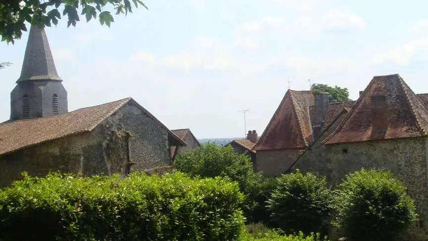 Les trois forêts : les sentiers de Burgou_2