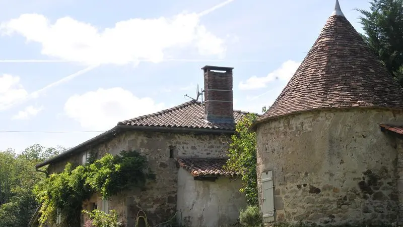 Chemin des hautes forêts_2