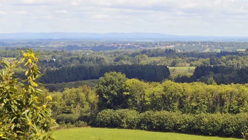 Chemin des hautes forêts_3
