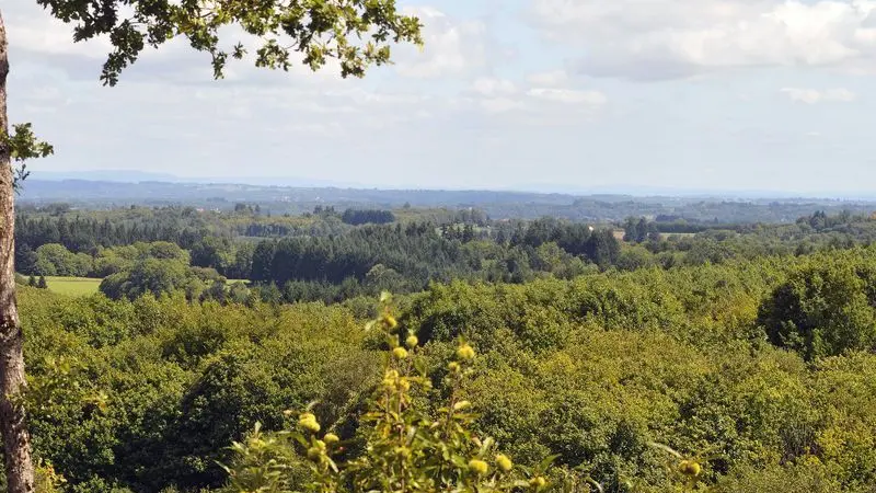 Chemin des hautes forêts_4