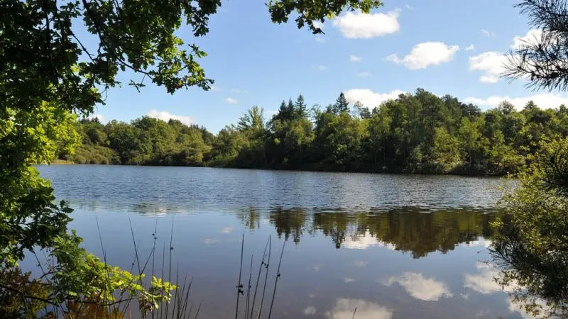 Chemin des étangs_1