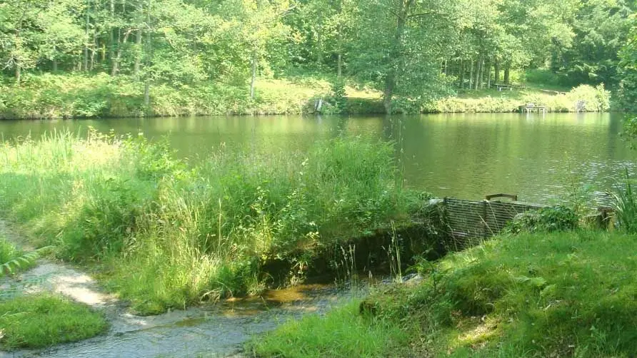 Chemin des étangs_2