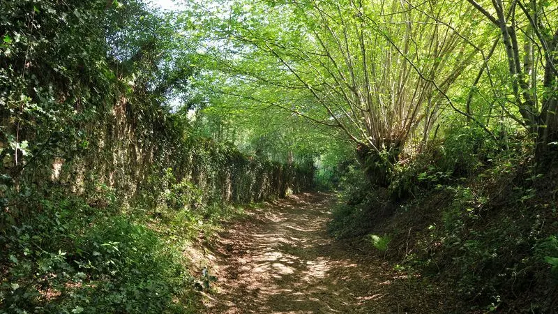Sentier des forges et des moulins_2