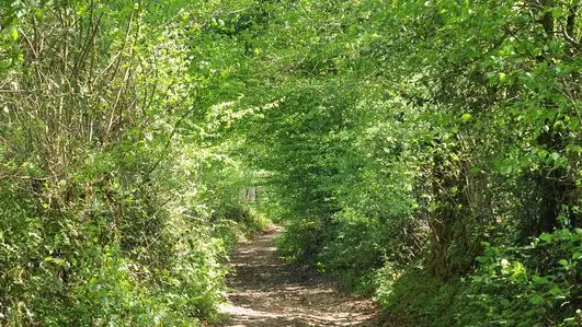 Sentier des forges et des moulins_3