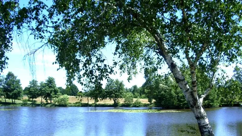 Sentier des forges et des moulins_5