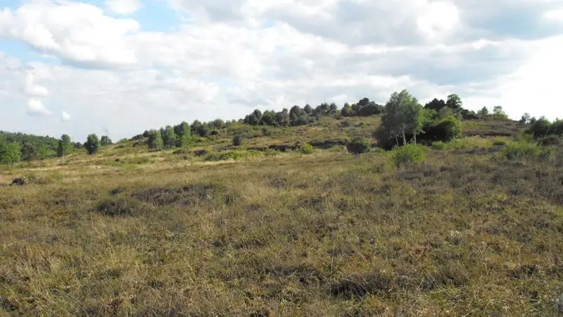Sentier Entre Puys et Landes_4