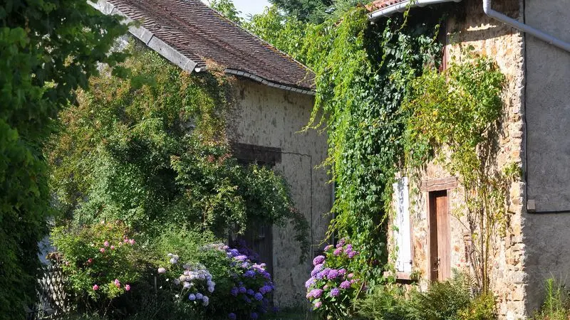 Sentier aux sources de la Gorre_3