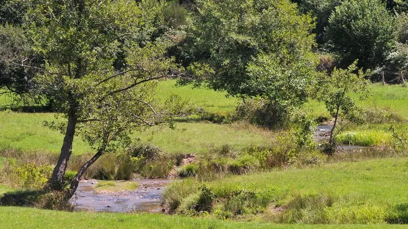 Chemin de Caux - La Mazière_7