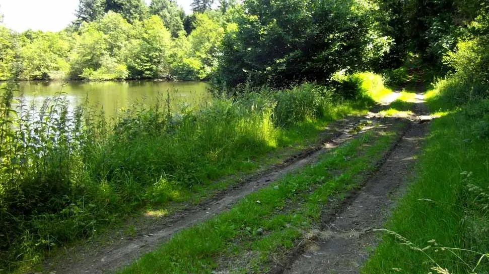 Chemin de Caux - La Mazière_1