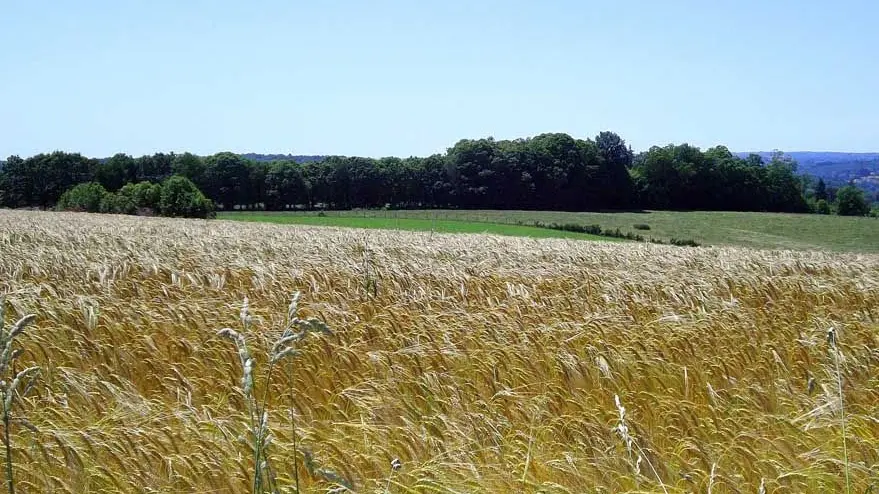 Chemin de Caux - La Mazière_3