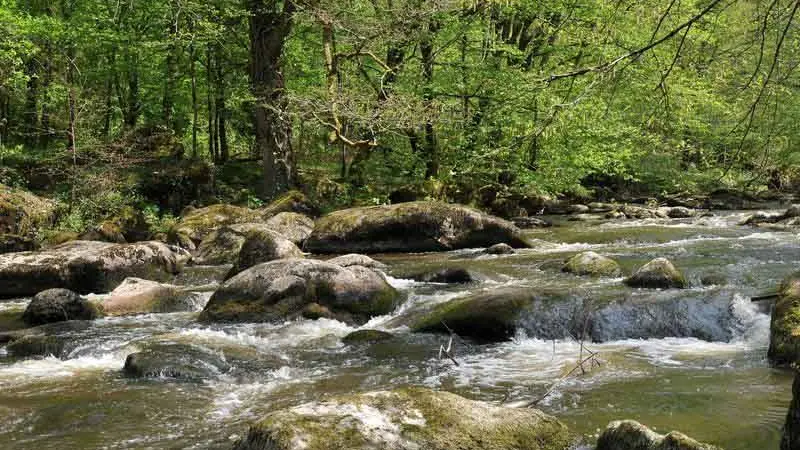 Sentier des Feutrières_1